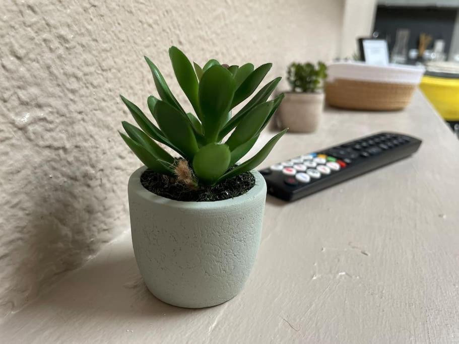Le Saint Gilles Cosy, Centre-ville, Wifi Apartamento Le Puy-en-Velay